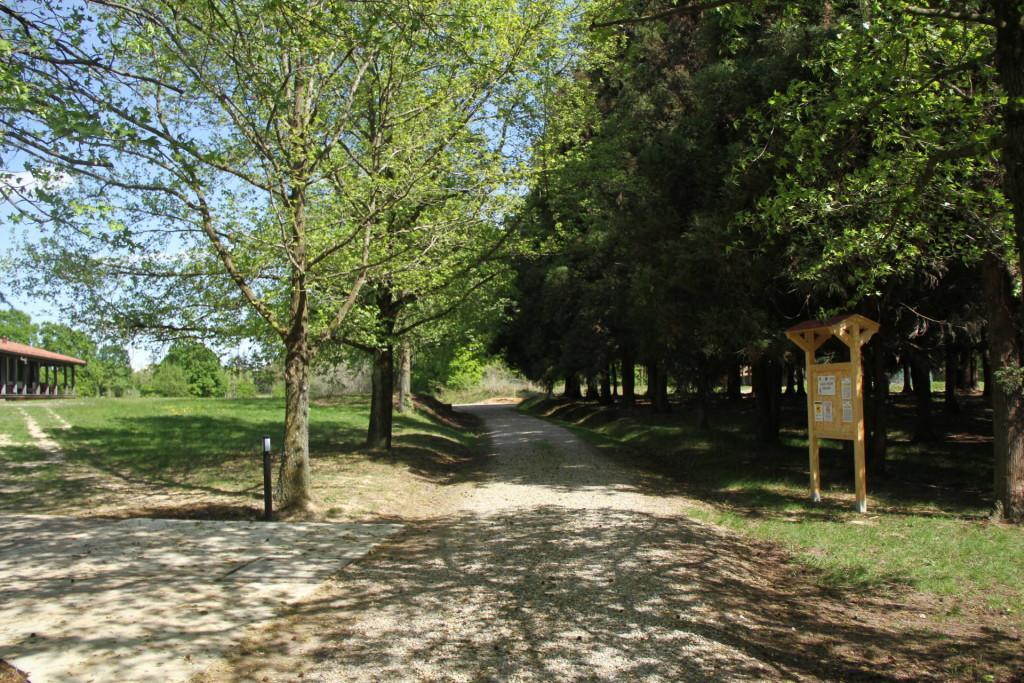 Tenuta Adriana Masserano Luaran gambar